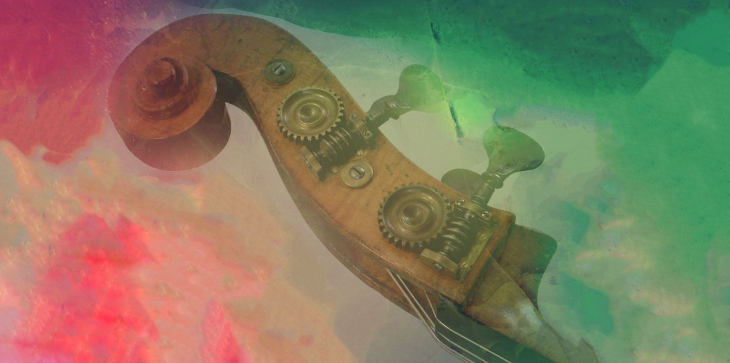 study abroad music italy double bass Symposium uga